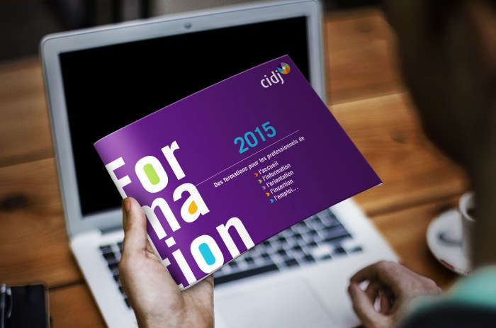 Cidj Catalogue Formation 2015