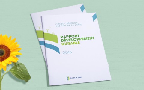 Rapport de développement durable