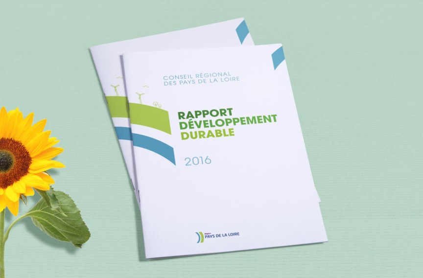 Rapport de développement durable